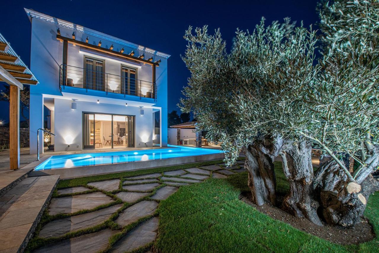 Stargaze Villas Panormos  Kültér fotó